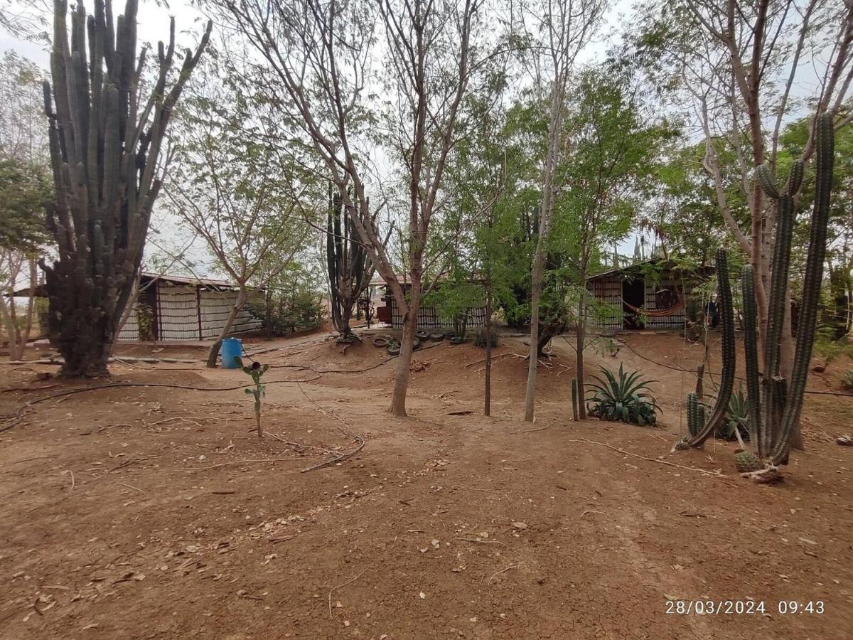 Alojamiento Casa De Campo Los Cactus Villavieja Exterior photo